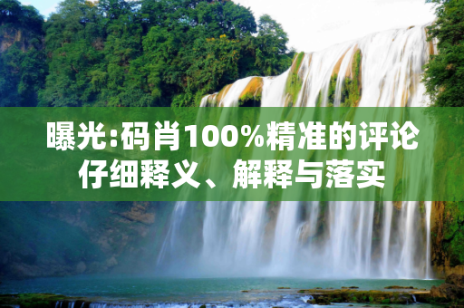 曝光:码肖100%精准的评论仔细释义、解释与落实