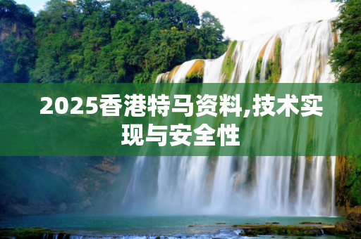 2025香港特马资料,技术实现与安全性