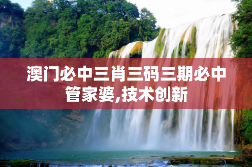 澳门必中三肖三码三期必中管家婆,技术创新
