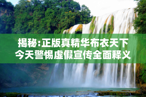 揭秘:正版真精华布衣天下今天警惕虚假宣传全面释义