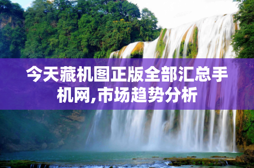 今天藏机图正版全部汇总手机网,市场趋势分析
