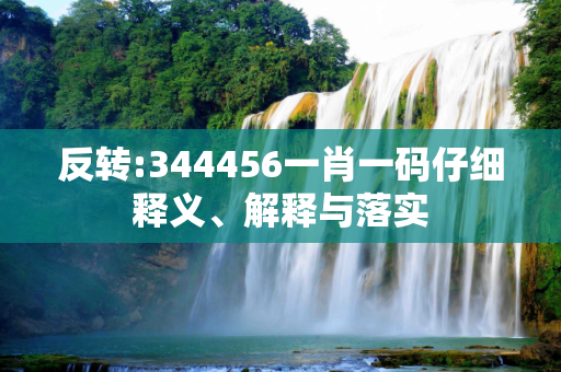 反转:344456一肖一码仔细释义、解释与落实