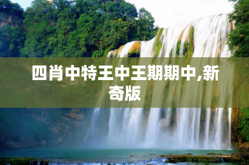 四肖中特王中王期期中,新奇版
