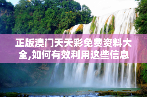 正版澳门天天彩免费资料大全,如何有效利用这些信息