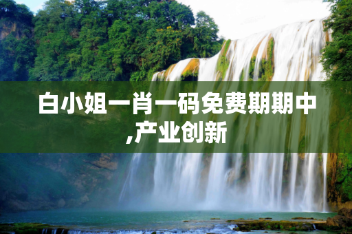 白小姐一肖一码免费期期中,产业创新