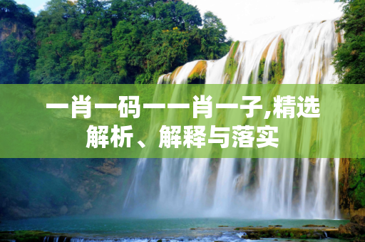 一肖一码一一肖一子,精选解析、解释与落实