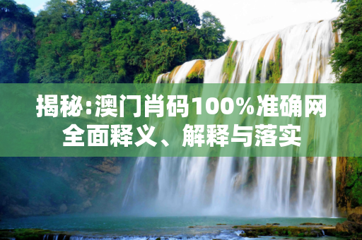 揭秘:澳门肖码100%准确网全面释义、解释与落实