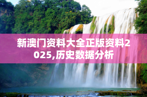 新澳门资料大全正版资料2025,历史数据分析