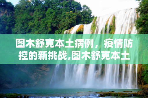 图木舒克本土病例，疫情防控的新挑战,图木舒克本土病例