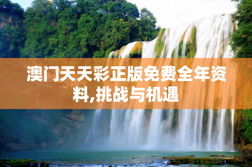 澳门天天彩正版免费全年资料,挑战与机遇