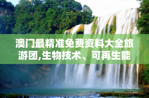 澳门最精准免费资料大全旅游团,生物技术、可再生能源