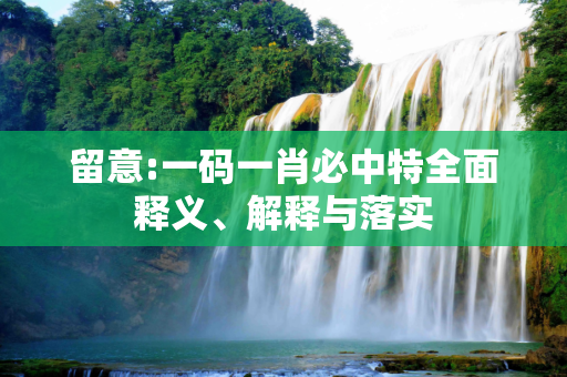 留意:一码一肖必中特全面释义、解释与落实