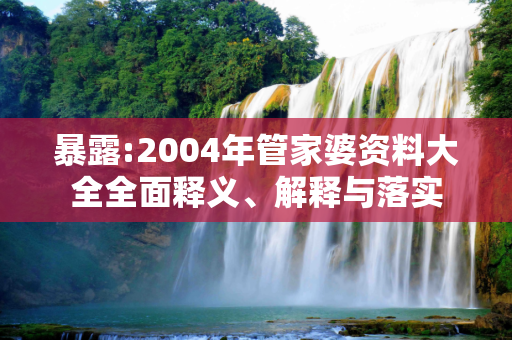 暴露:2004年管家婆资料大全全面释义、解释与落实