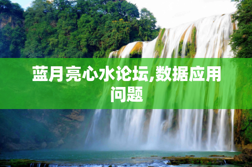 蓝月亮心水论坛,数据应用问题