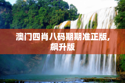 澳门四肖八码期期准正版,飙升版