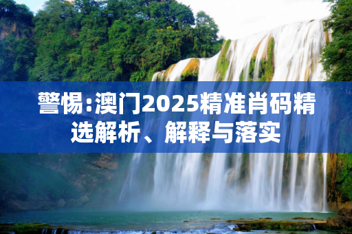 警惕:澳门2025精准肖码精选解析、解释与落实
