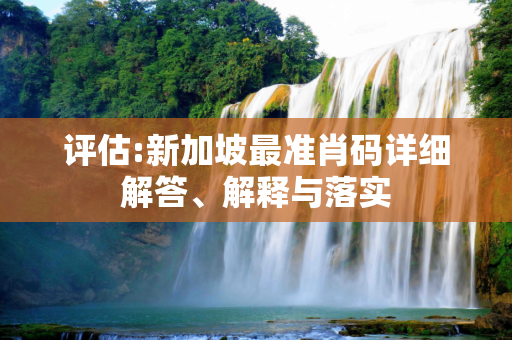 评估:新加坡最准肖码详细解答、解释与落实