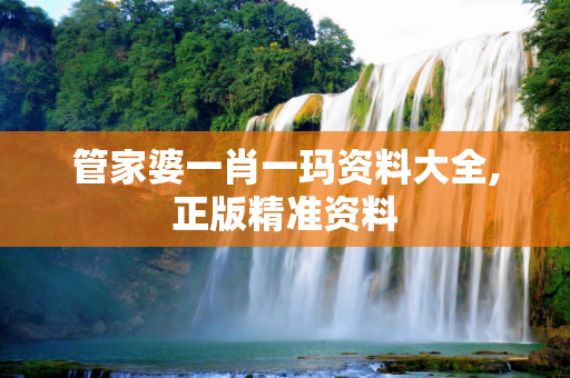 管家婆一肖一玛资料大全,正版精准资料
