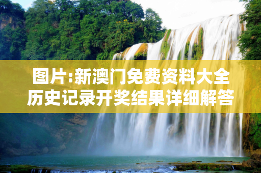图片:新澳门免费资料大全历史记录开奖结果详细解答、解释与落实