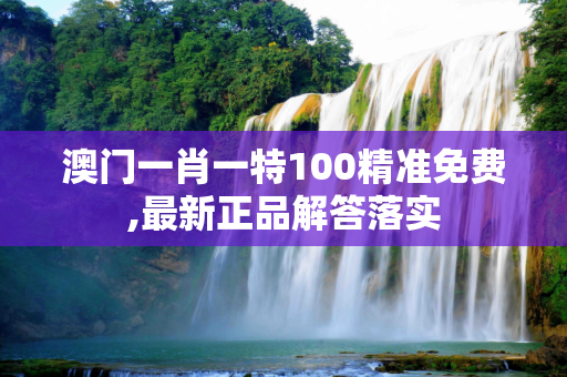 澳门一肖一特100精准免费,最新正品解答落实