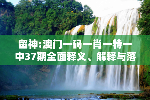 留神:澳门一码一肖一特一中37期全面释义、解释与落实