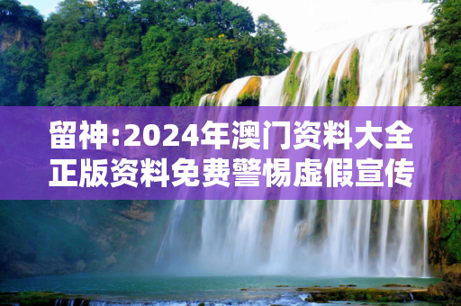 留神:2024年澳门资料大全正版资料免费警惕虚假宣传、全面解答与解释