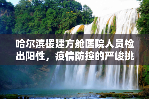 哈尔滨援建方舱医院人员检出阳性，疫情防控的严峻挑战与应对措施,哈尔滨援建方舱医院人员检出阳性