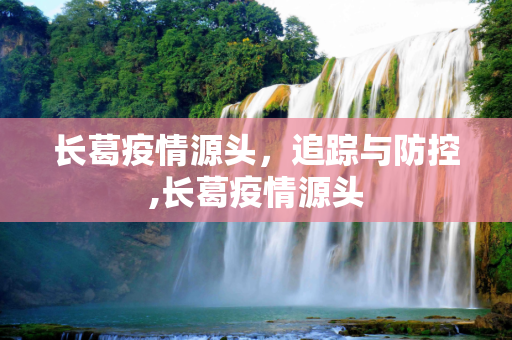 长葛疫情源头，追踪与防控,长葛疫情源头