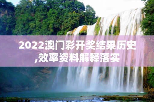 2022澳门彩开奖结果历史,效率资料解释落实