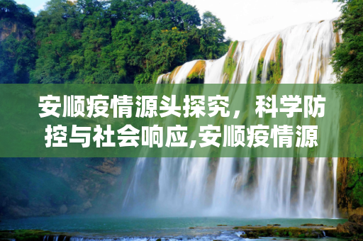 安顺疫情源头探究，科学防控与社会响应,安顺疫情源头