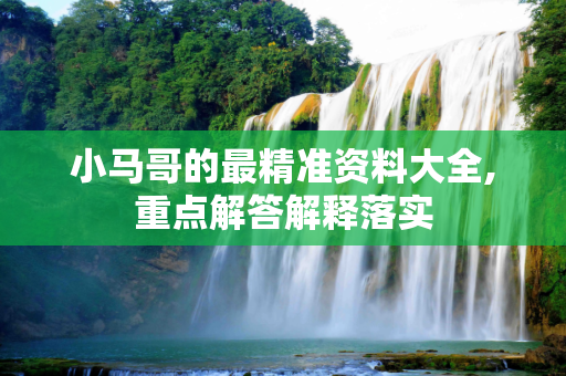 小马哥的最精准资料大全,重点解答解释落实