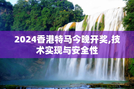 2024香港特马今晚开奖,技术实现与安全性