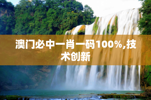 澳门必中一肖一码100%,技术创新