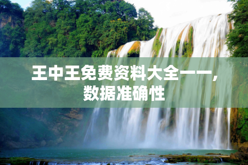 王中王免费资料大全一一,数据准确性