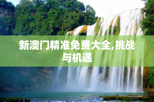 新澳门精准免费大全,挑战与机遇