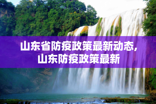 山东省防疫政策最新动态,山东防疫政策最新