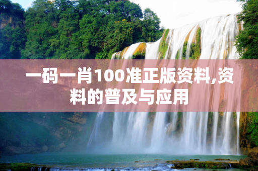 一码一肖100准正版资料,资料的普及与应用