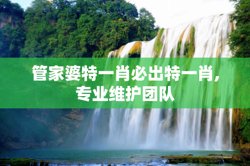 管家婆特一肖必出特一肖,专业维护团队