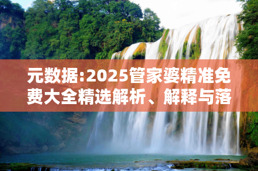 元数据:2025管家婆精准免费大全精选解析、解释与落实