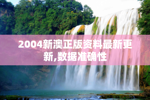 2004新澳正版资料最新更新,数据准确性