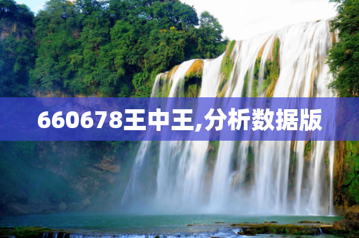 660678王中王,分析数据版