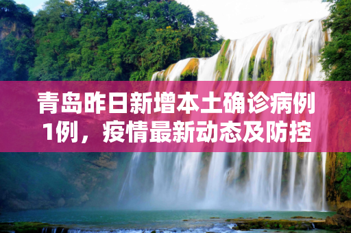 青岛昨日新增本土确诊病例1例，疫情最新动态及防控措施,青岛昨日新增本土确诊病例1例
