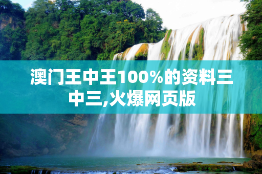 澳门王中王100%的资料三中三,火爆网页版