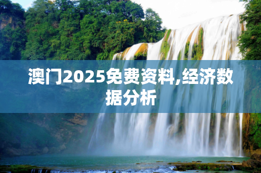 澳门2025免费资料,经济数据分析