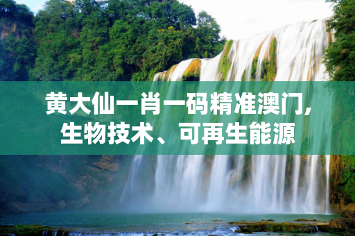 黄大仙一肖一码精准澳门,生物技术、可再生能源