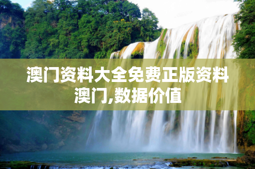 澳门资料大全免费正版资料澳门,数据价值