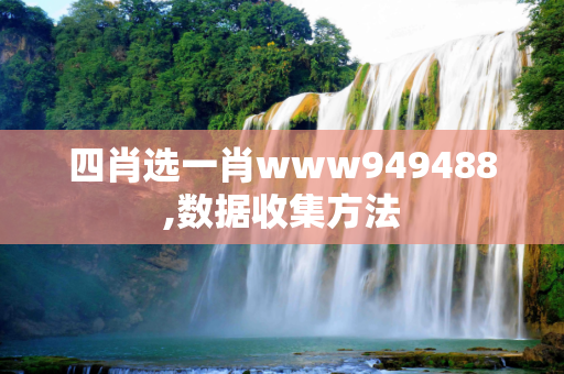 四肖选一肖www949488,数据收集方法