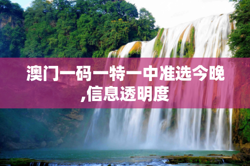 澳门一码一特一中准选今晚,信息透明度