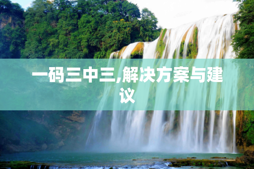 一码三中三,解决方案与建议