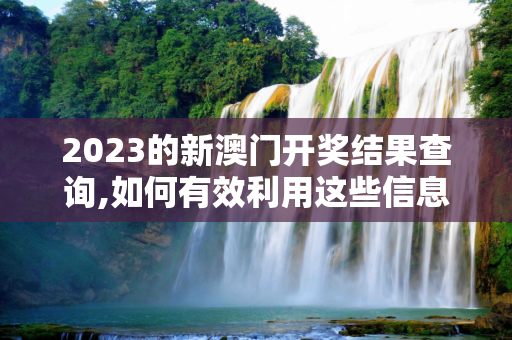 2023的新澳门开奖结果查询,如何有效利用这些信息
